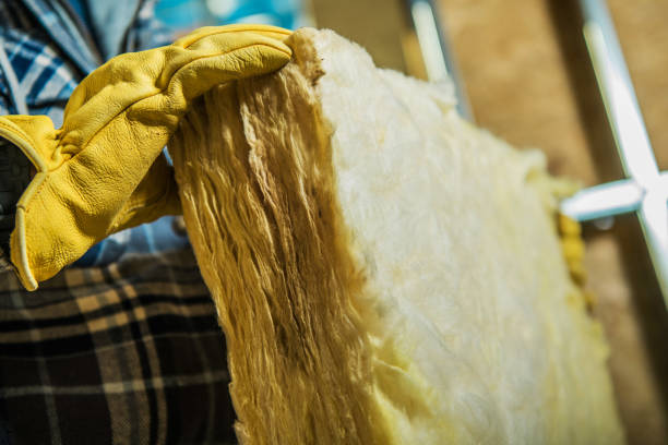 Best Insulation Maintenance and Repair in Atkins, AR